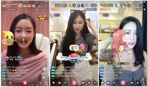 娱乐吃瓜酱毕业工作,毕业季的职场初体验