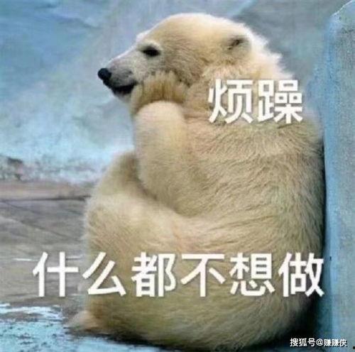 吃瓜群众专用图